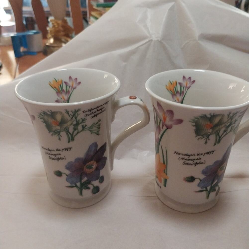 Vintage set of 2 "Dahlia" Floral Mugs